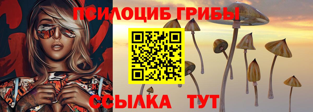 Псилоцибиновые грибы Котельники